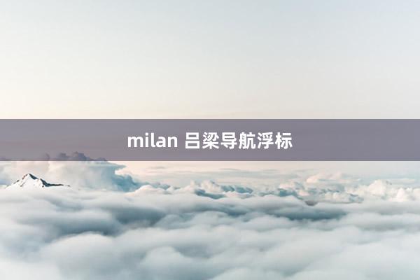 milan 吕梁导航浮标
