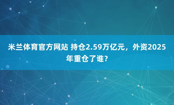 米兰体育官方网站 持仓2.59万亿元，外资2025年重仓了谁？