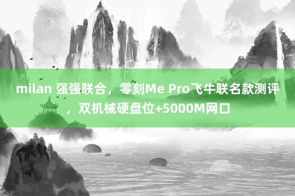 milan 强强联合，零刻Me Pro飞牛联名款测评，双机械硬盘位+5000M网口